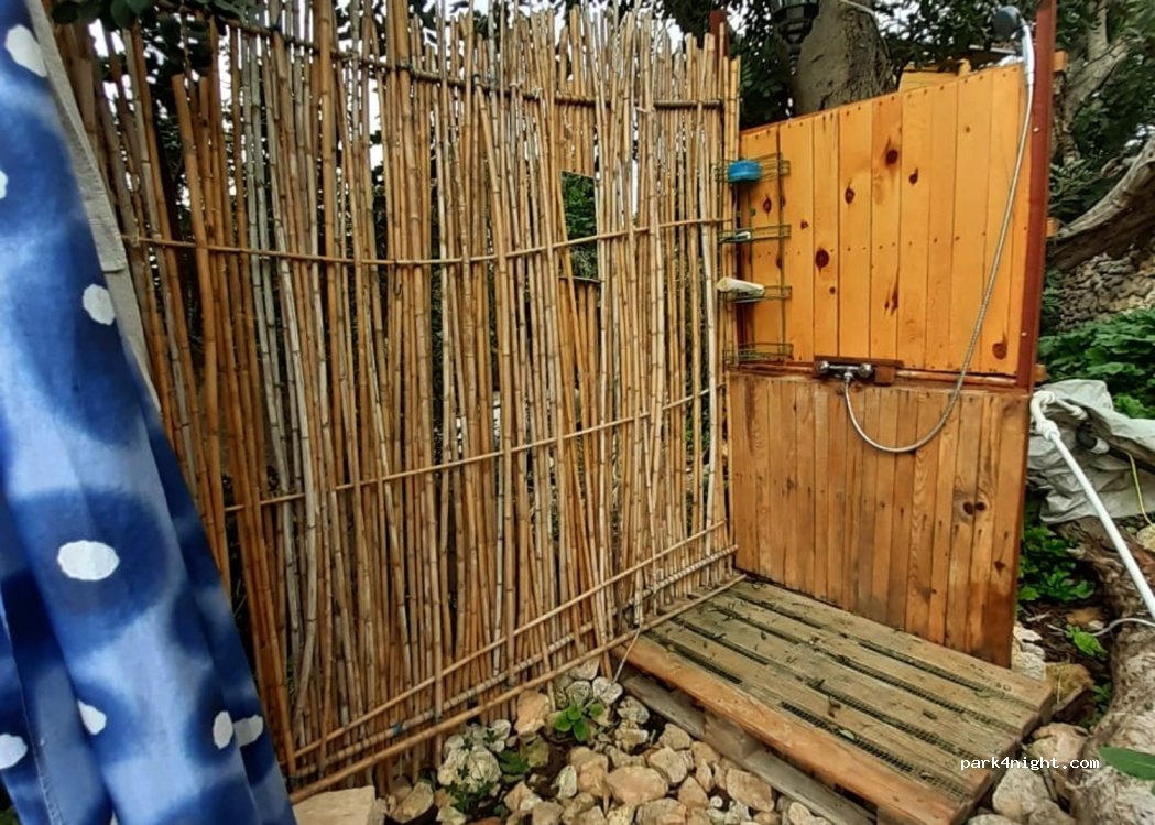 Thrive Education and Wellness Farm — foto 2