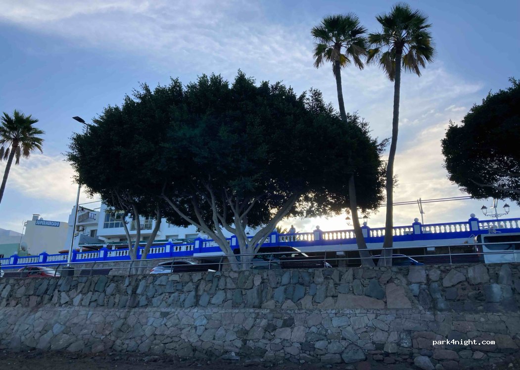 (35120) Arguineguín - 8 Avenida del Muelle — foto 3