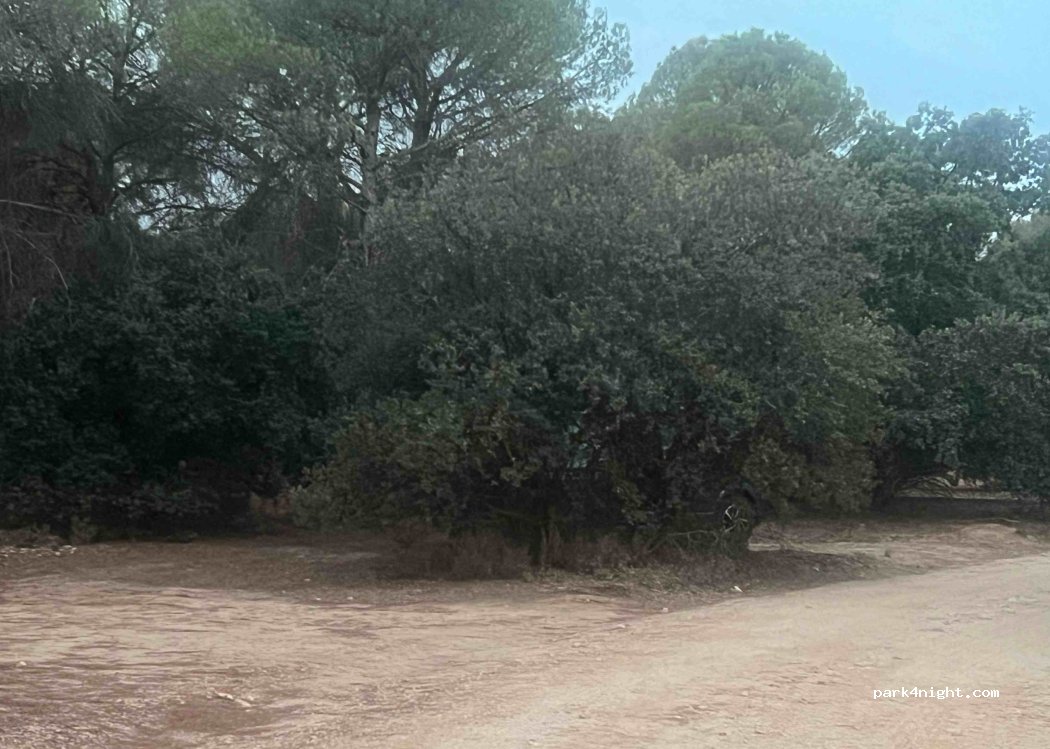 (02600) Villarrobledo - C-11 — foto