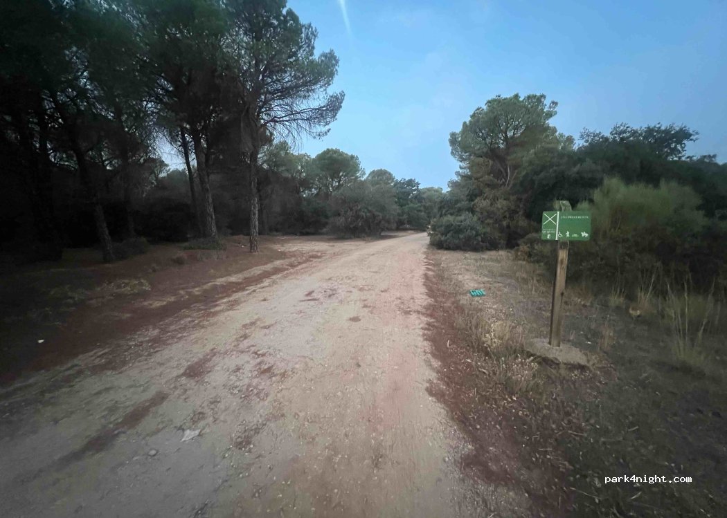 (02600) Villarrobledo - C-11 — foto 2