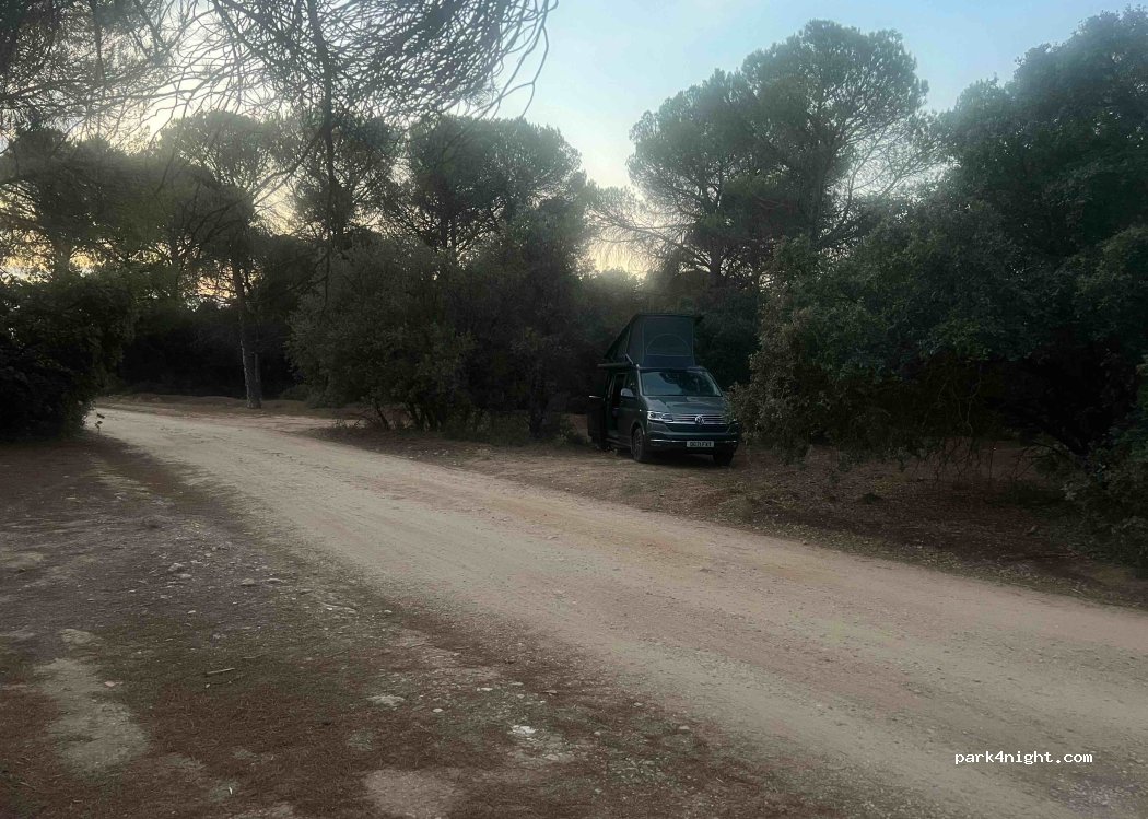 (02600) Villarrobledo - C-11 — foto 3