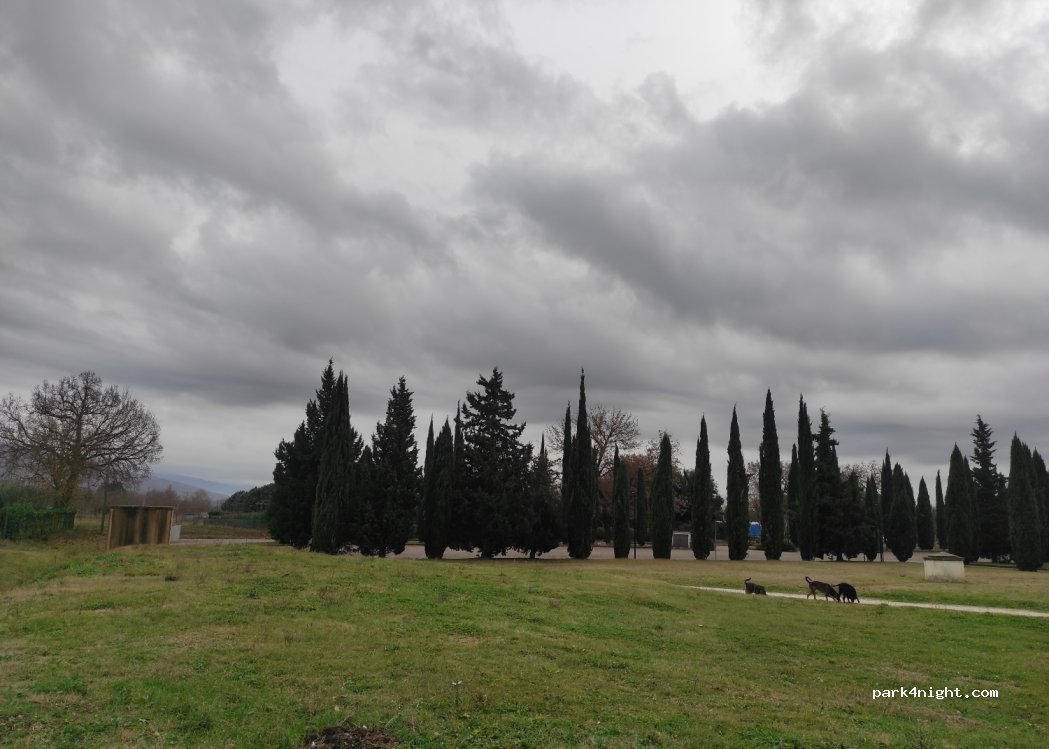 (06081) Santa Maria degli Angeli - 8 Via San Rufino d'Arce — foto