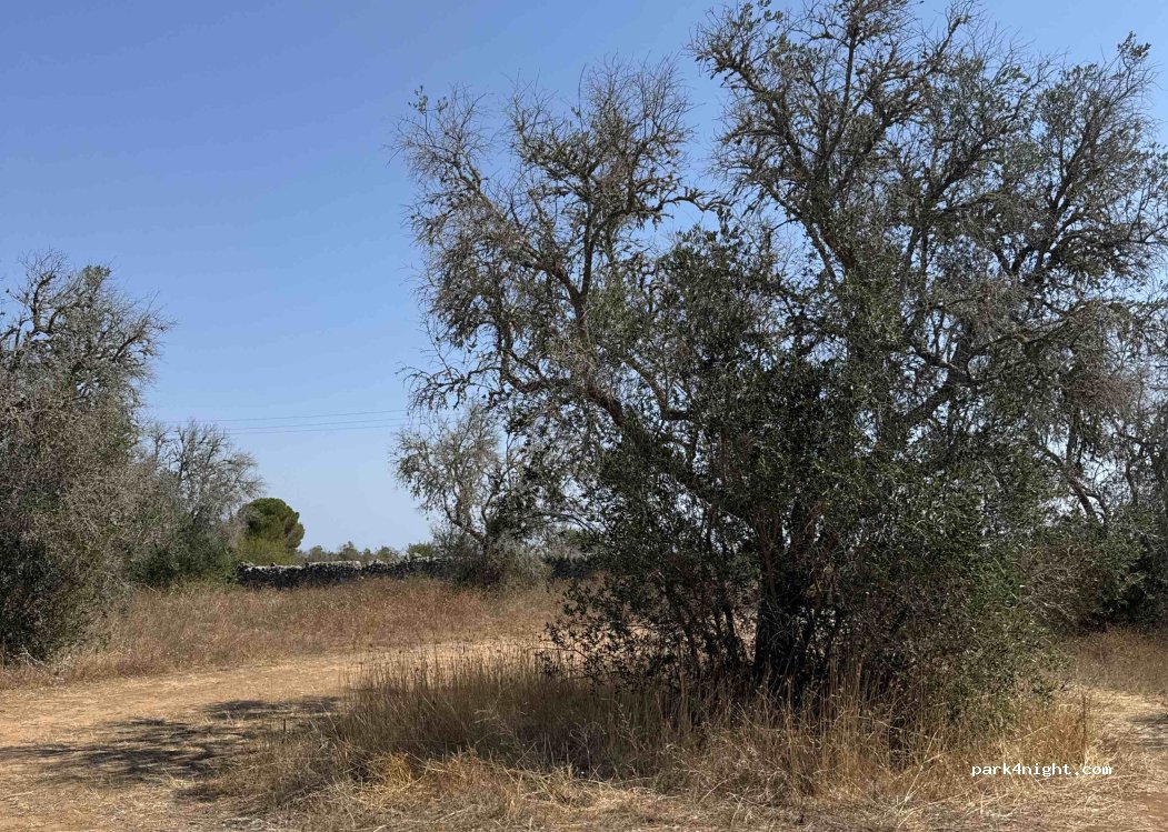 (73026) Melendugno - Unnamed Road — foto 3