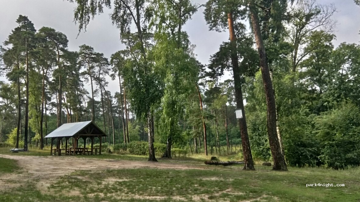 (87-809) Łuba Druga - — foto 3
