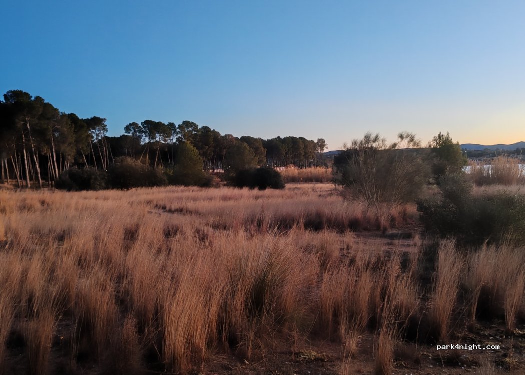 (46839) Guadasséquies - Unnamed road — foto