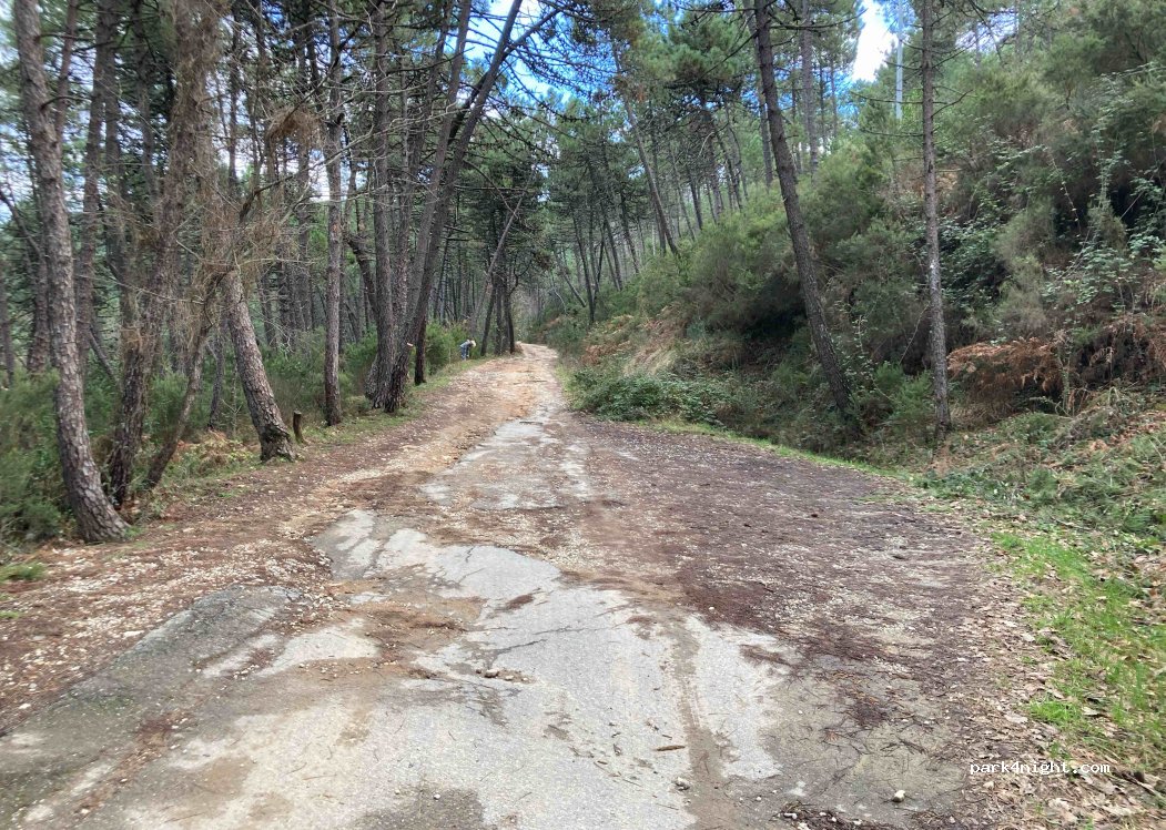 (55012) Capannori - 18 via di Santallago — foto