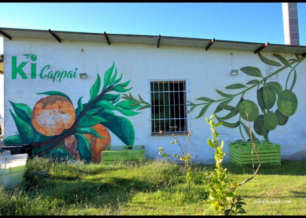 Azienda Agricola Cappai — foto