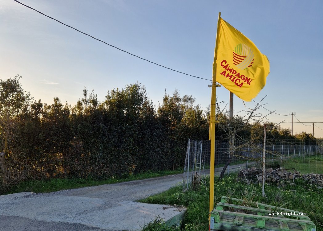 Azienda Agricola Cappai — foto 2