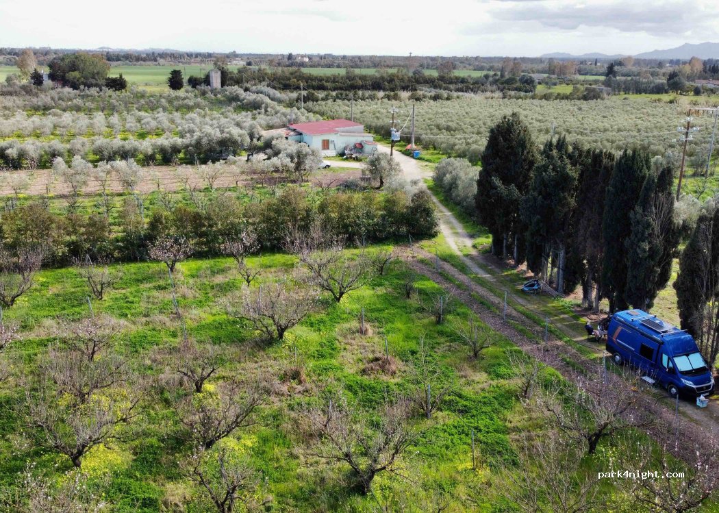 Azienda Agricola Cappai — foto 3