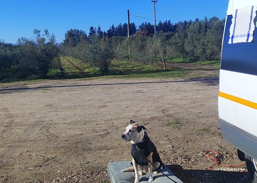 Azienda Agricola Cappai — foto 5
