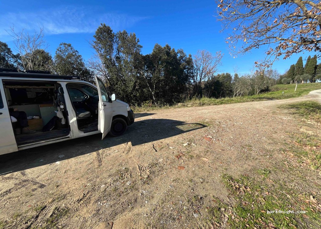 (56036) Palaia - — foto