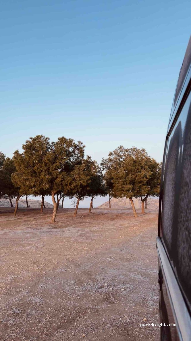 (25242) Miralcamp - — foto