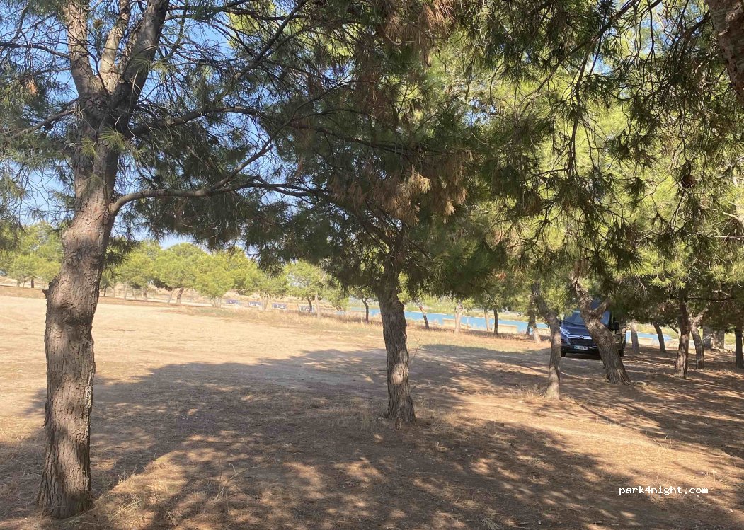 (25242) Miralcamp - — foto 4