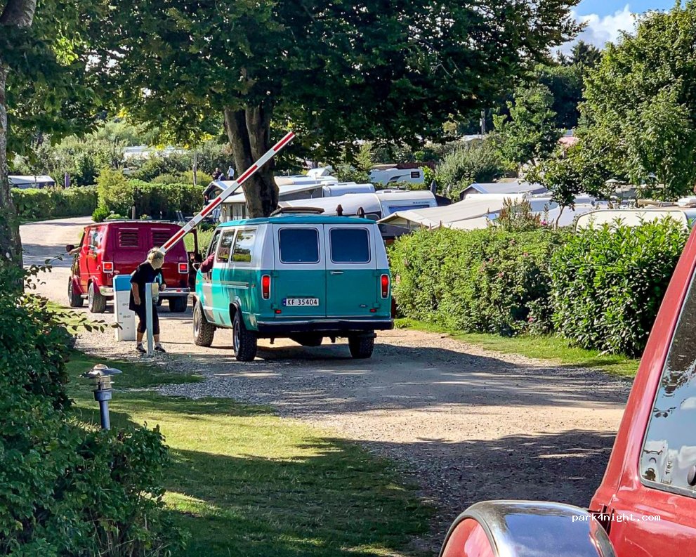 Hjarbæk Fjord Camping — foto 3