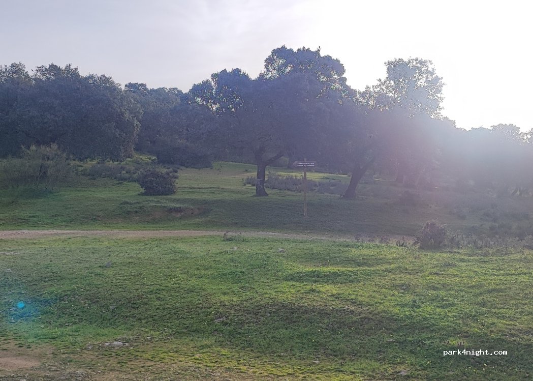 (06176) La Parra - — foto