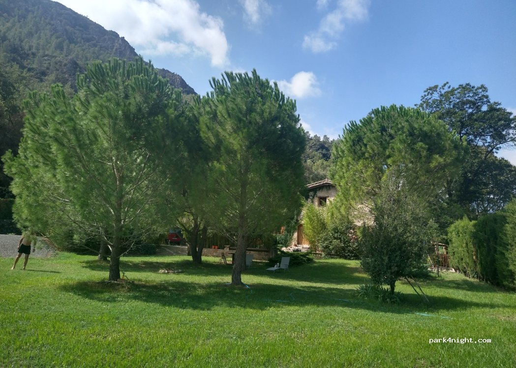 (43528) Alfara de Carles - — foto