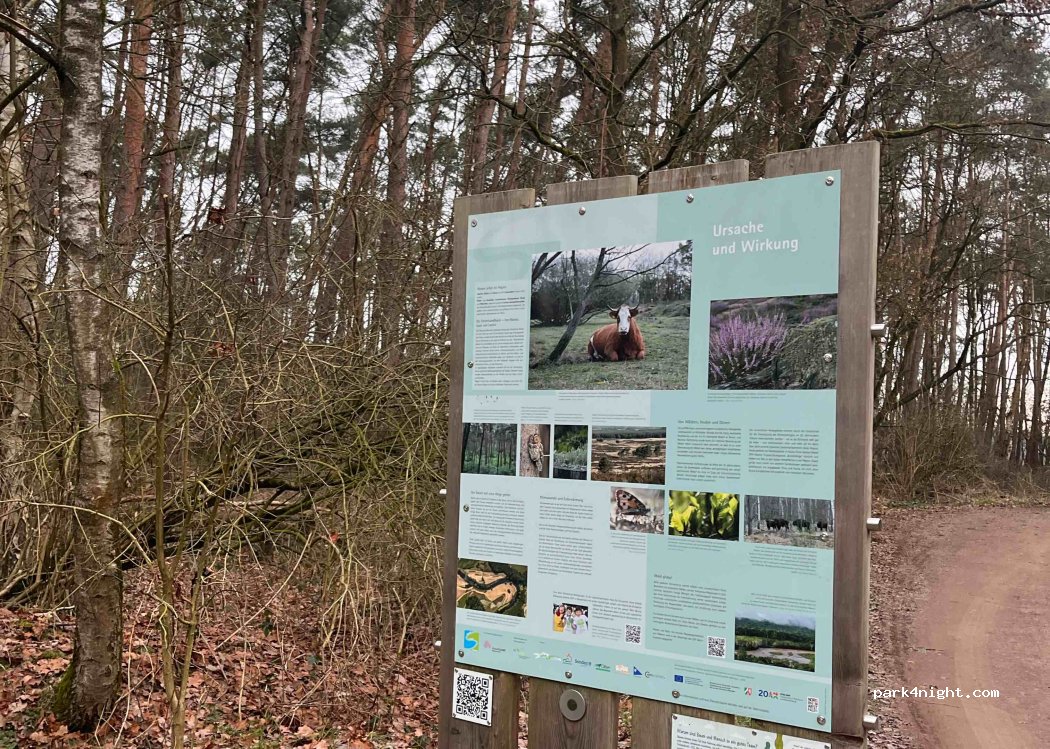 (59399) Olfen - Alter Postweg — foto