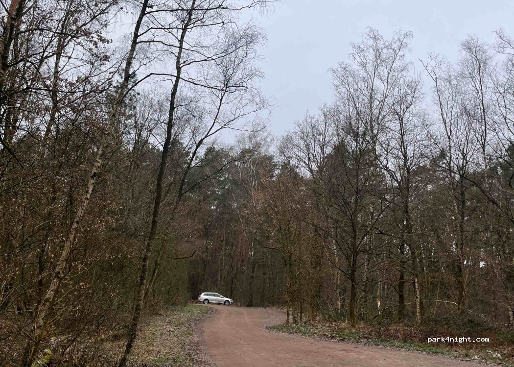 (59399) Olfen - Alter Postweg — foto 2