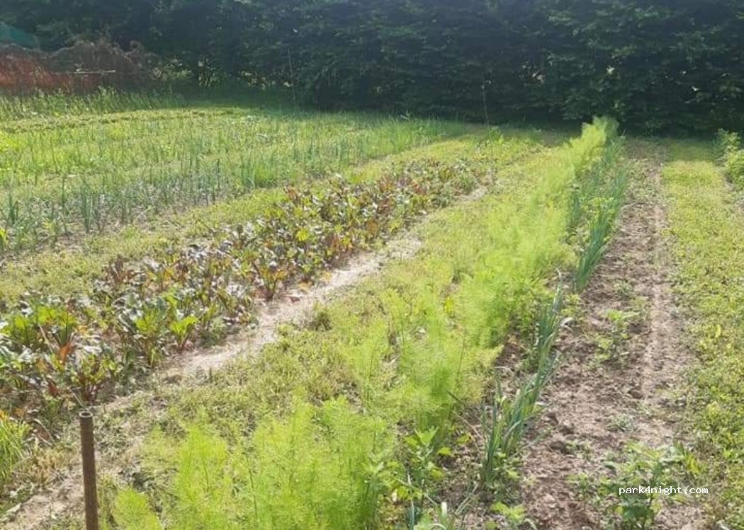 (81170) Les Cabannes - 235 Route de Labarthe Bleys — foto