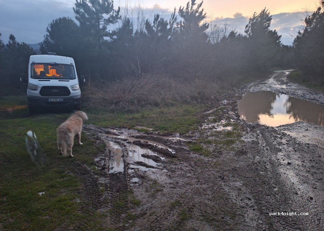 (77400) Termal - Unnamed Road — foto