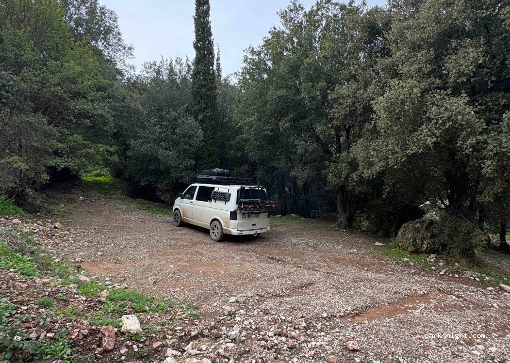 (270 61) Avlonas - — foto