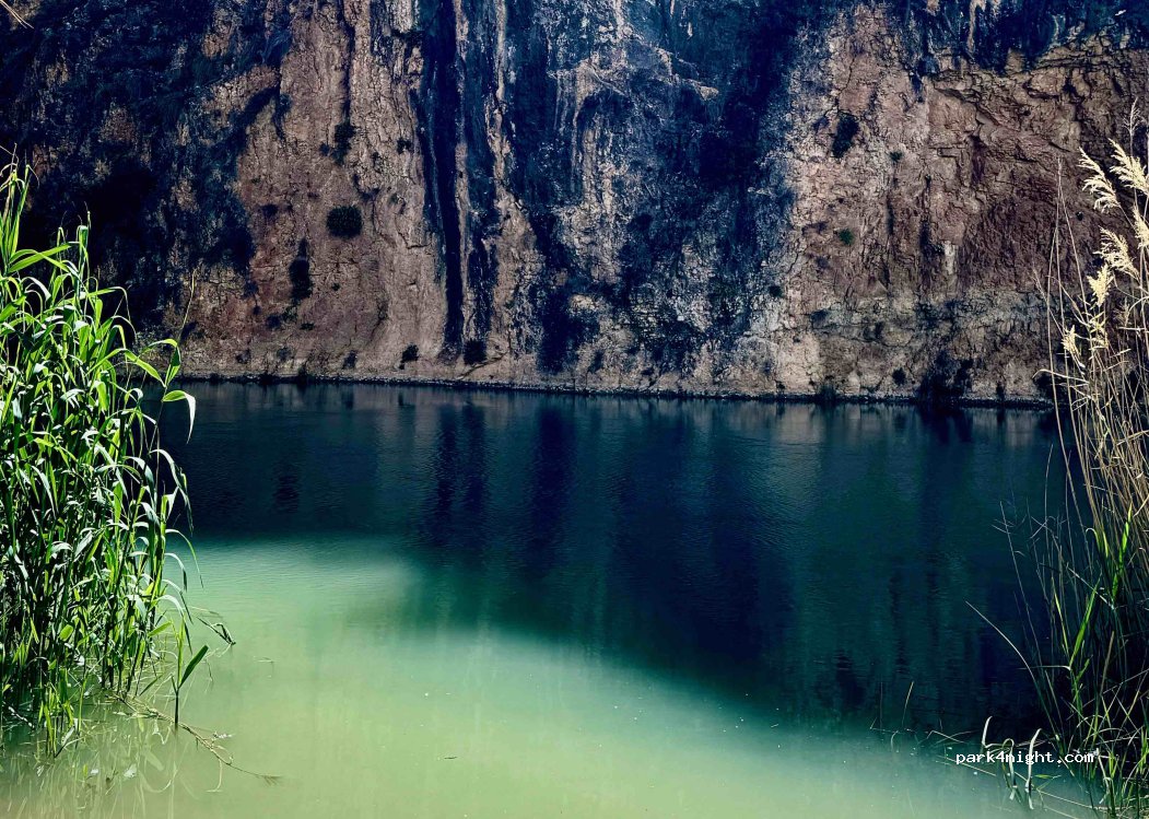 (30420) Pantano de Alfonso XIII - — foto 3