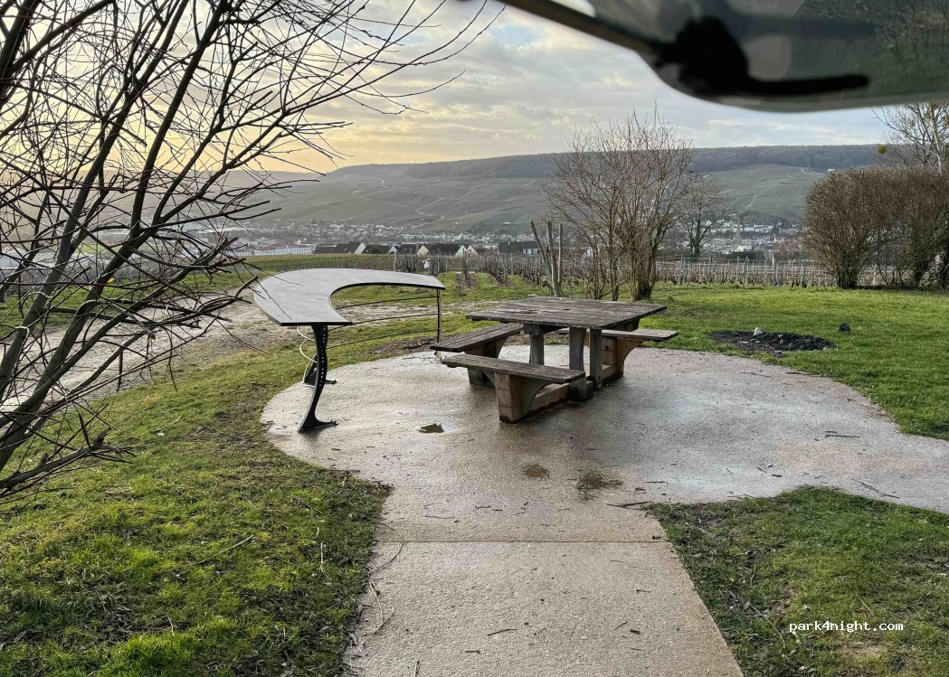 (51200) Épernay - Sentier du Mont Bernon — foto
