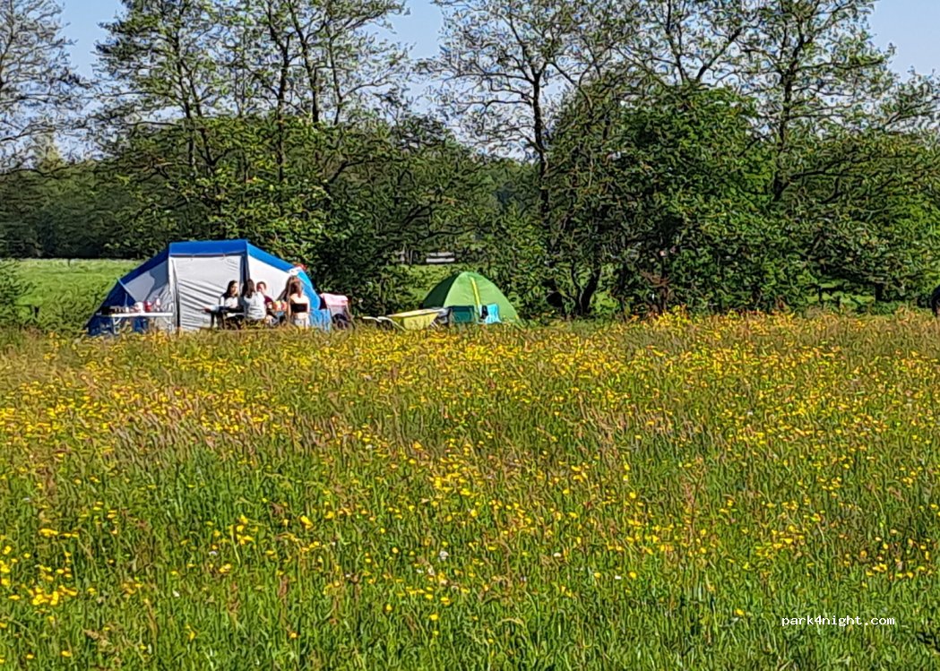 Bloemenparadyske Kollum — foto 4