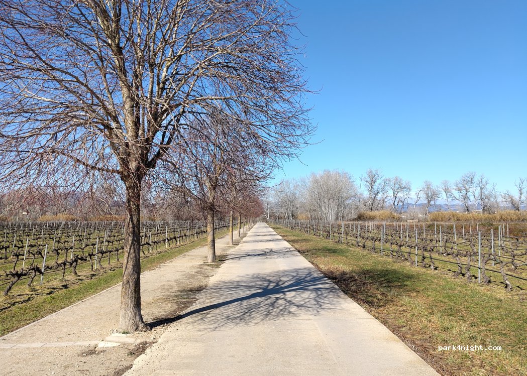 (43748) Ginestar - Unnamed Road — foto 4