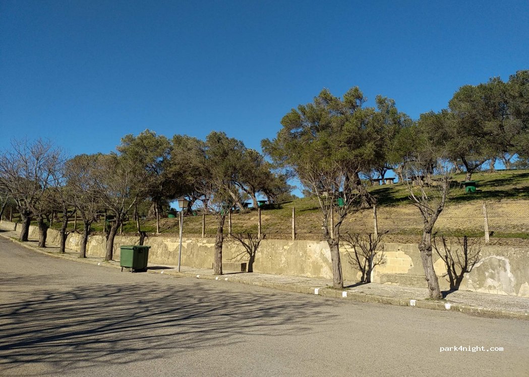 (11180) Alcalá de los Gazules - Unnamed Road — foto