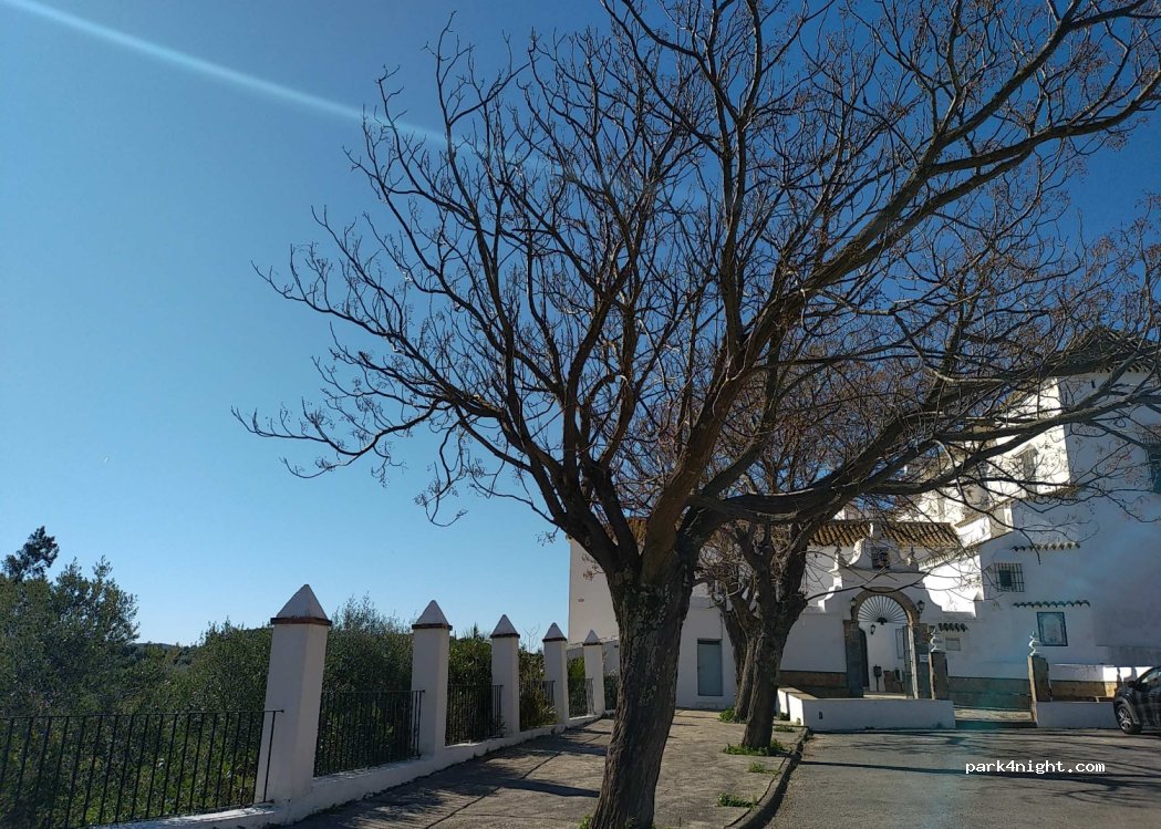 (11180) Alcalá de los Gazules - Unnamed Road — foto 2