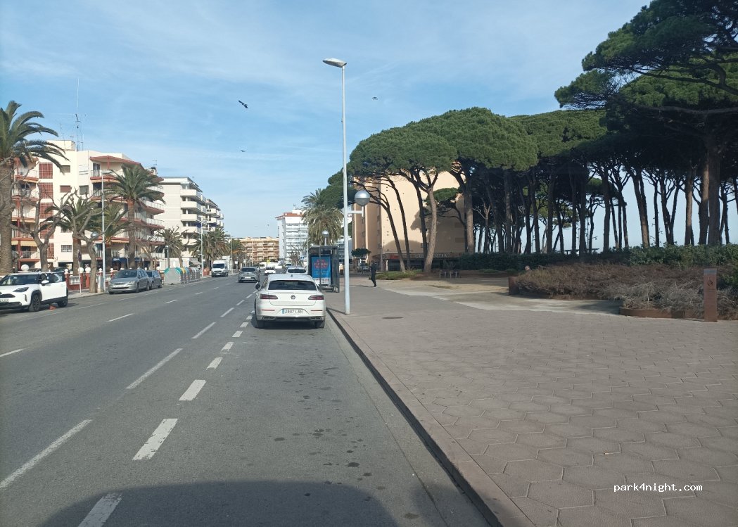 (43481) Platja de la Pineda - 98 Passeig de Pau Casals — foto 2