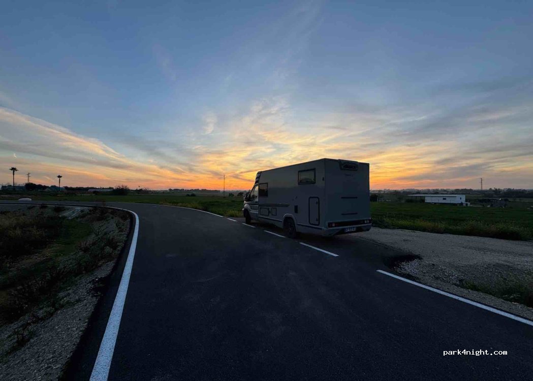 (11593) Estella del Marqués - Unnamed Road — foto