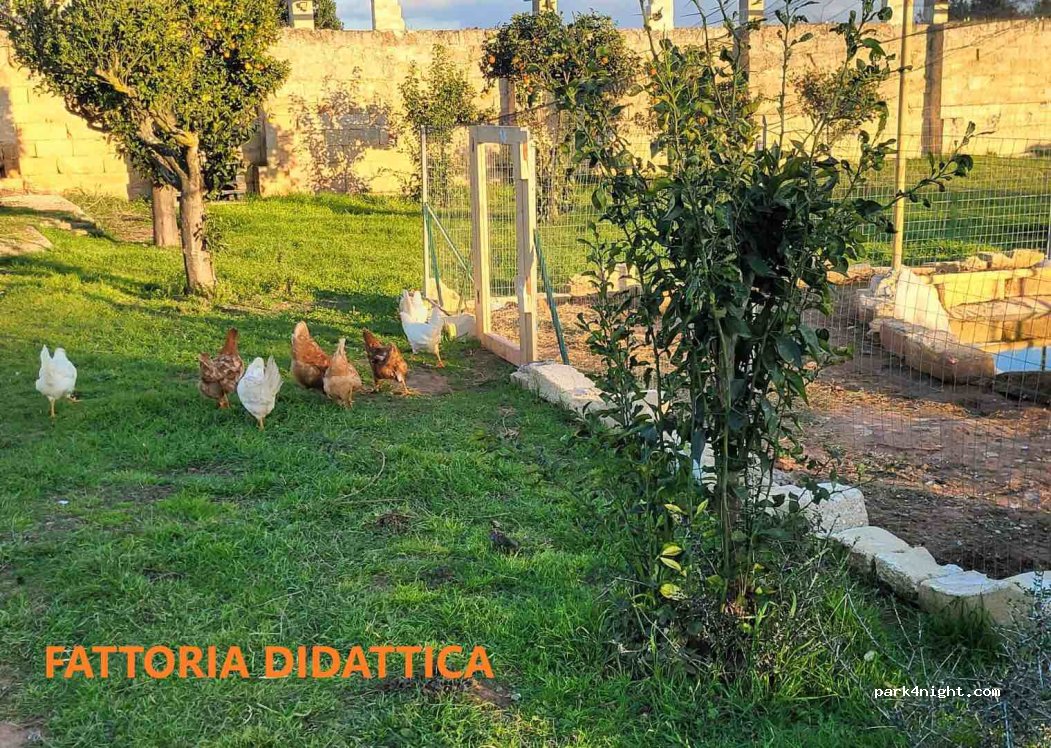 (73011) Alezio - — foto 3