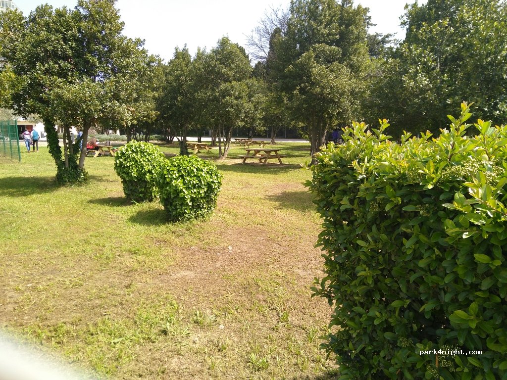 (66200) Elne - 500F Route de Bages — foto 3
