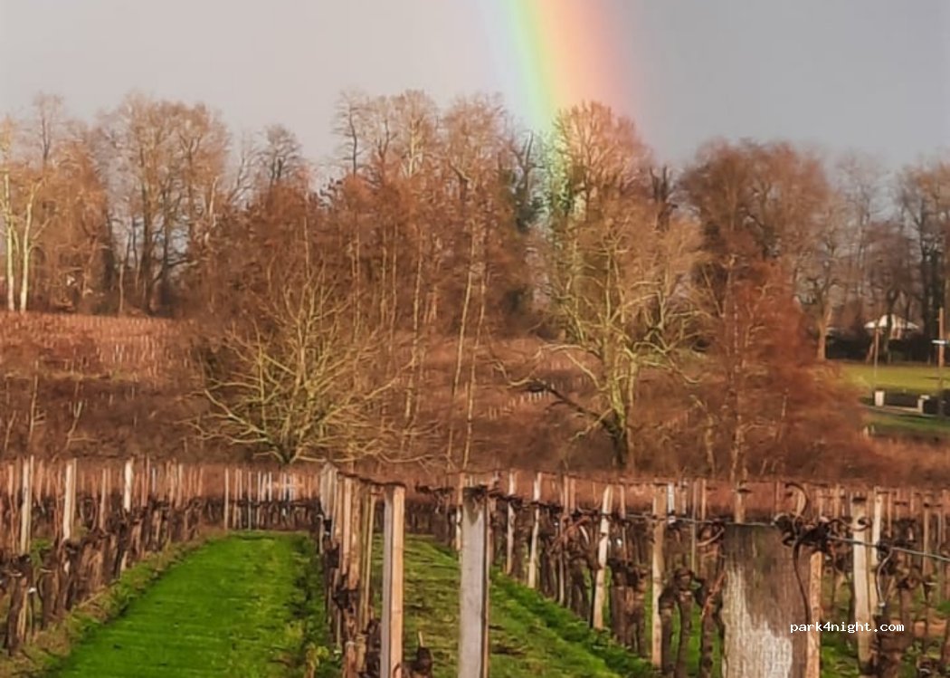 Domaine Maison de la Reine — foto 3