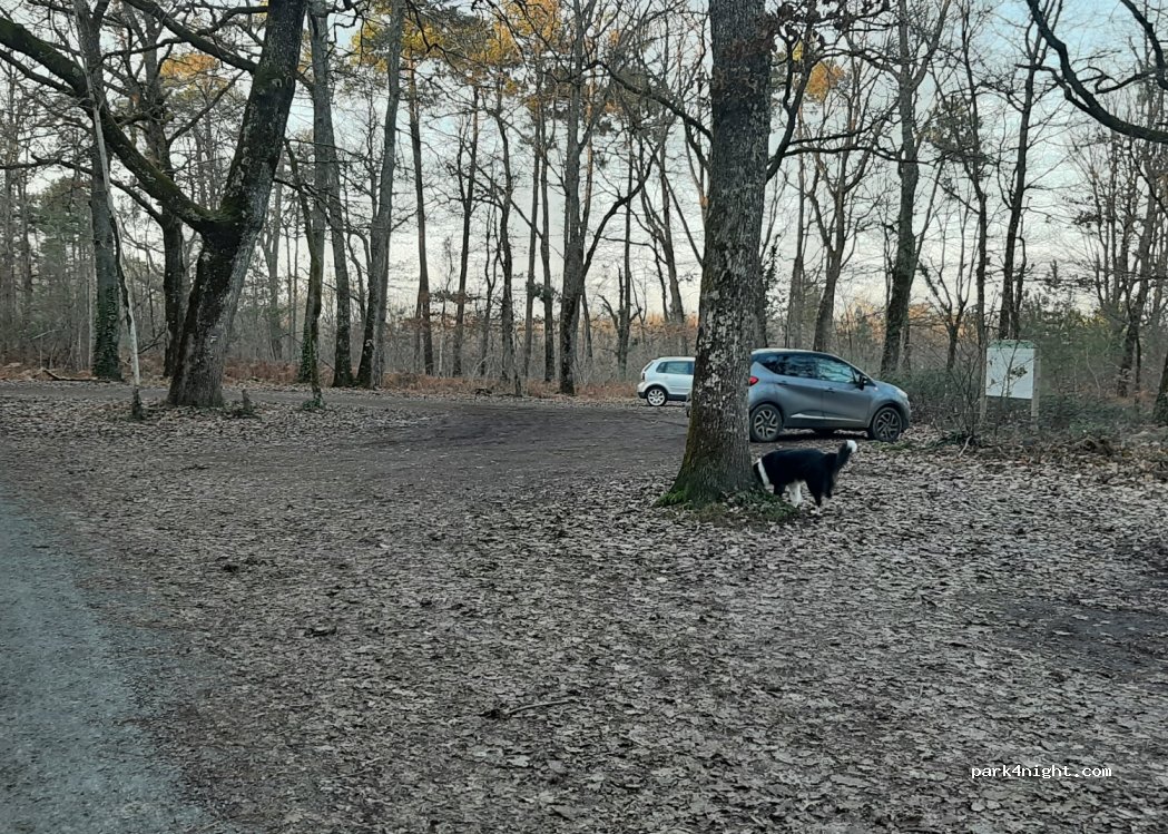 (24420) Antonne-et-Trigonant - Route de la Croix du Rat — foto 2