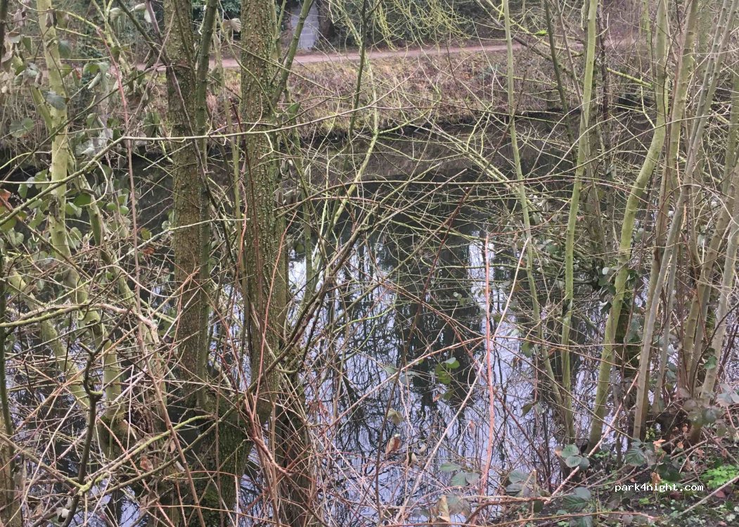 (59113) Seclin - 76 Avenue des Marronniers — foto