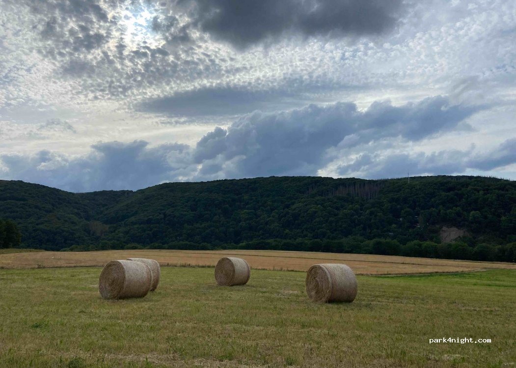 (52385) Nideggen - 1 Auf dem Bühl — foto 2