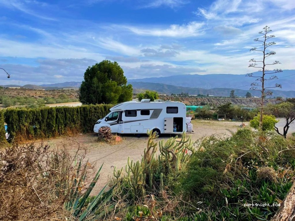 PRE Pferde Andalusier — foto