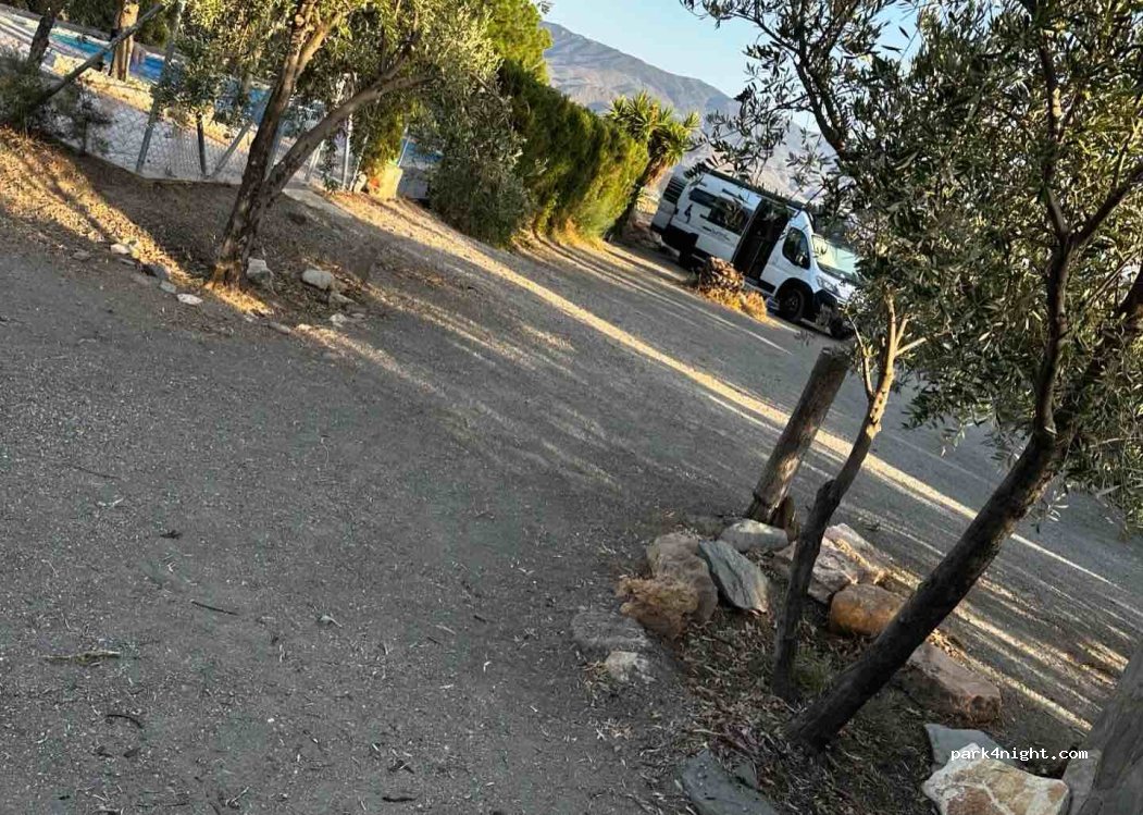 PRE Pferde Andalusier — foto 3