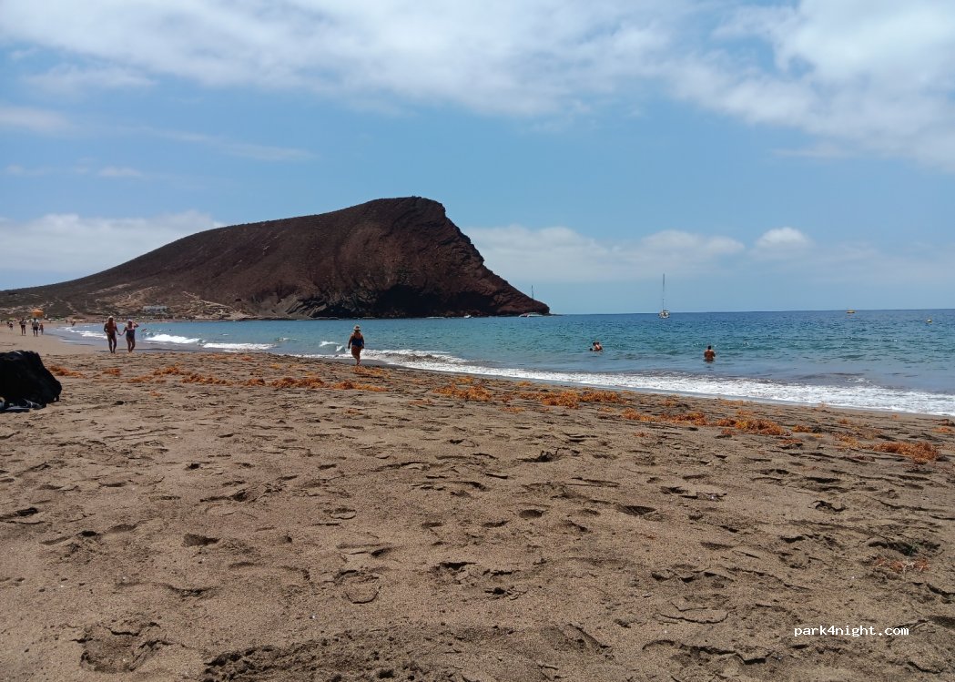 (38618) La Tejita - — foto 3