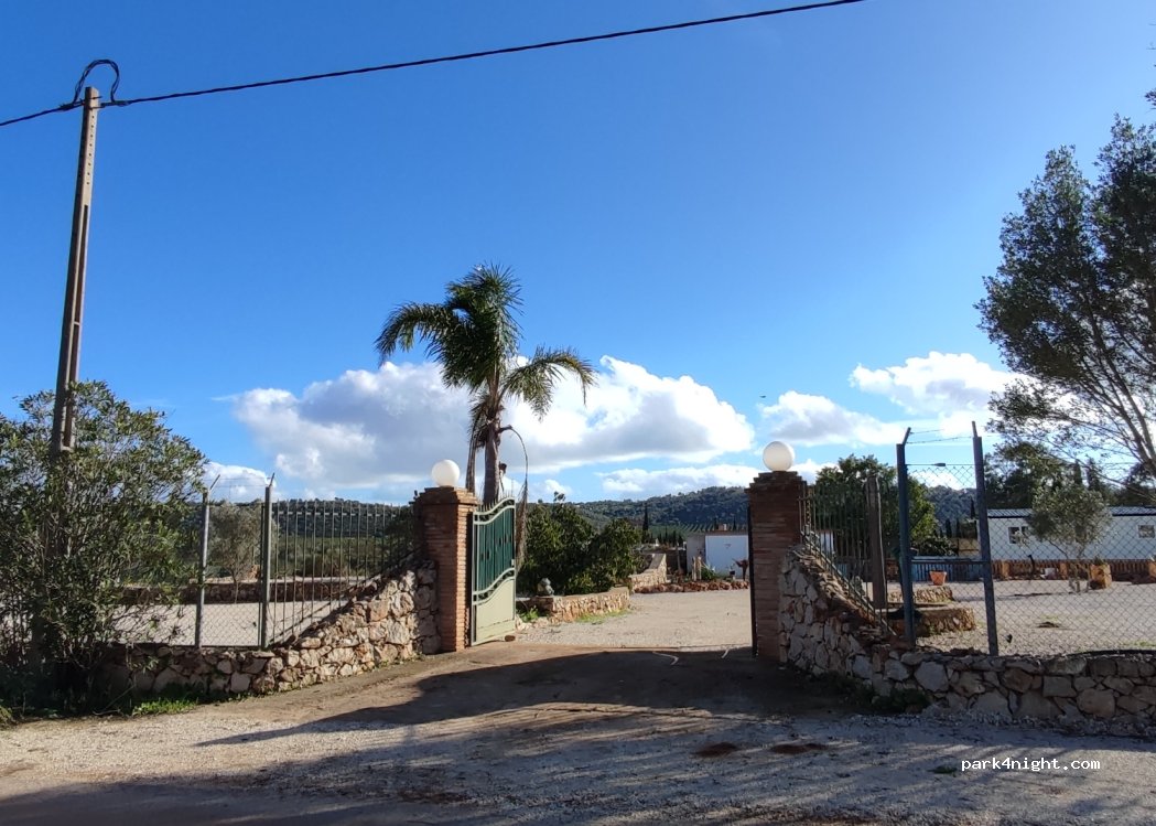 Campista ao sol — foto