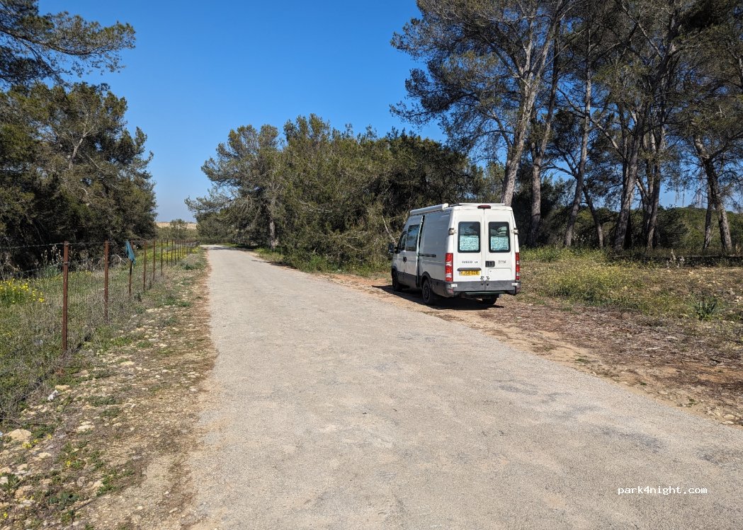 (11640) Bornos - Unnamed Road — foto