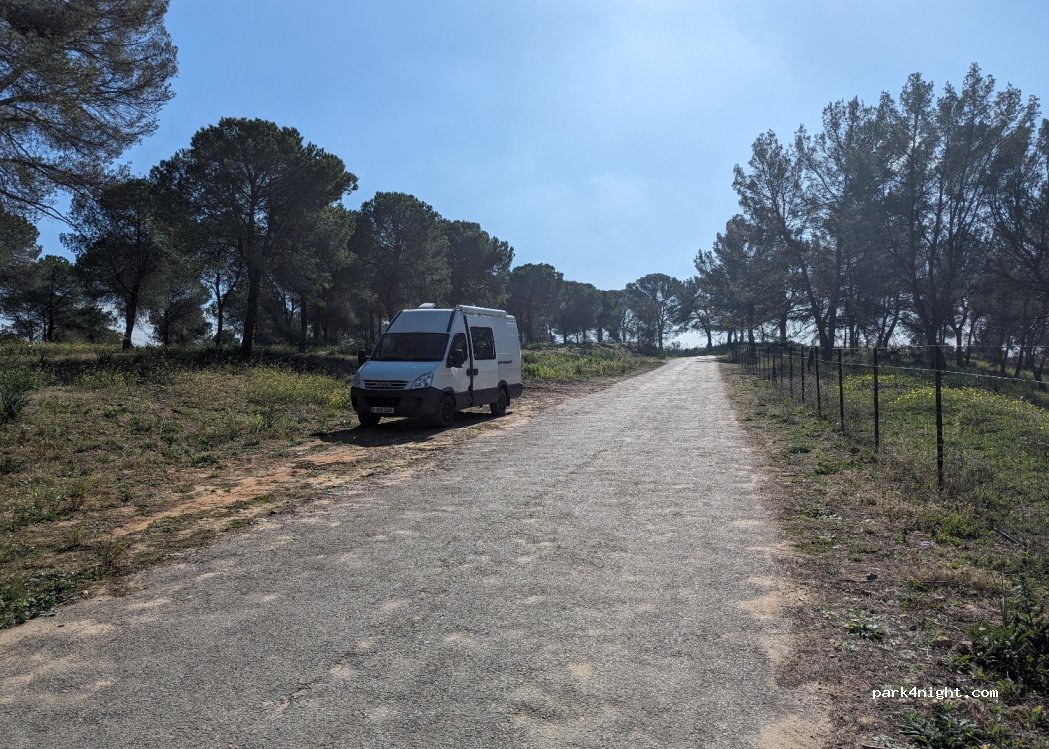 (11640) Bornos - Unnamed Road — foto 2