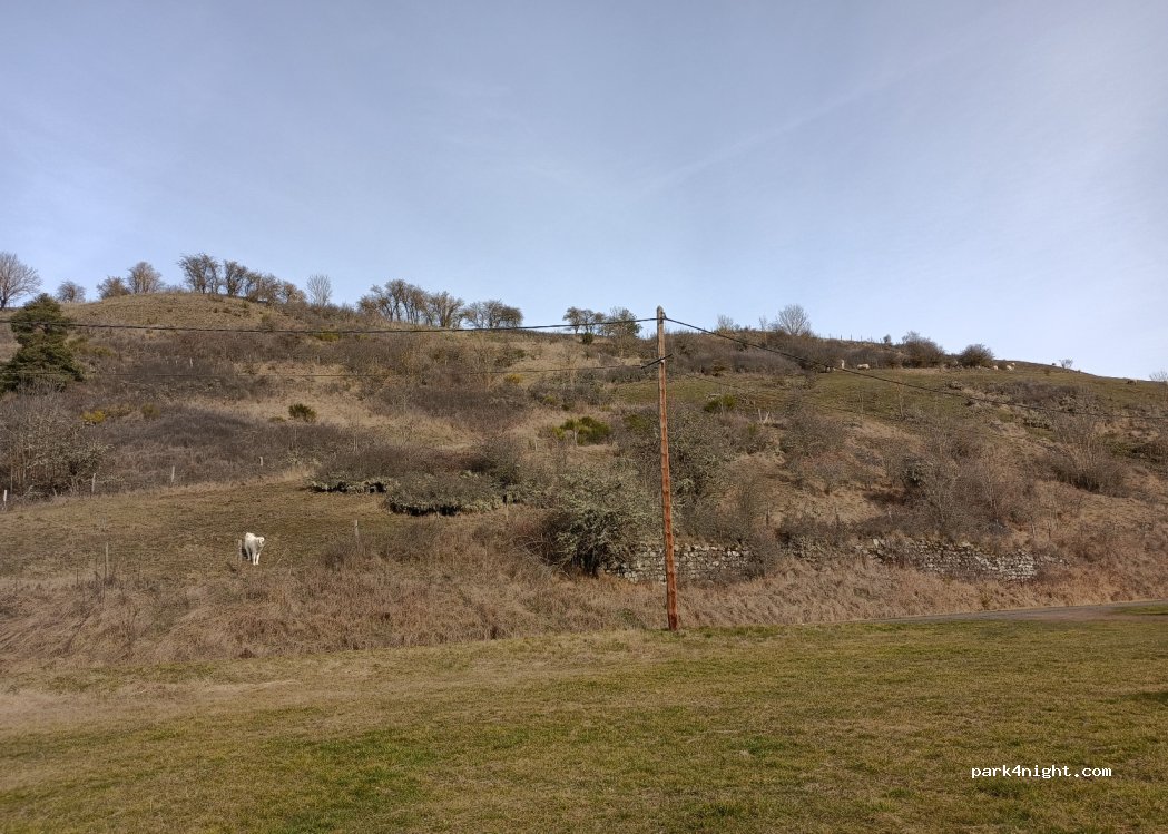 (43340) Rauret - 1155 Route de l'Allier — foto 3