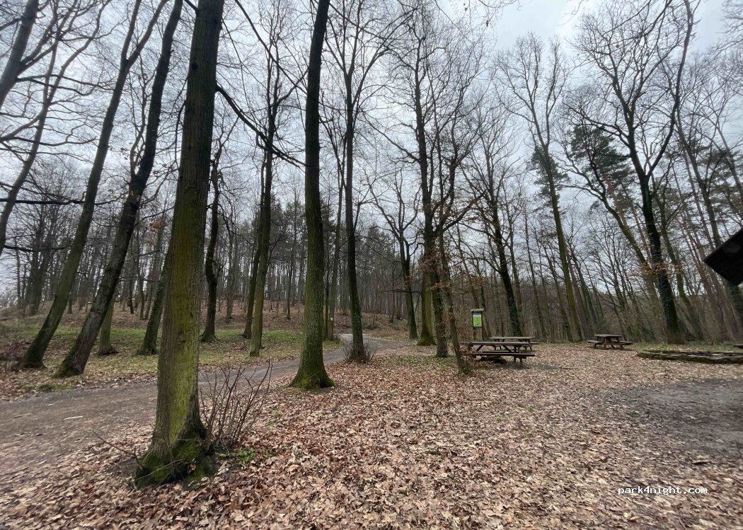 (57) Niemcza - Unnamed Road — foto 3