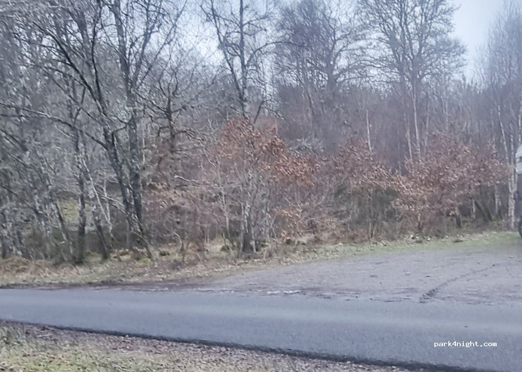 (IV14 9EN) Strathpeffer - — foto 3