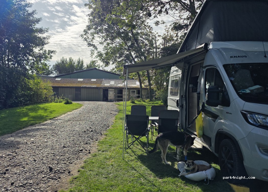 Ferienhof Jörn Höper — foto 4