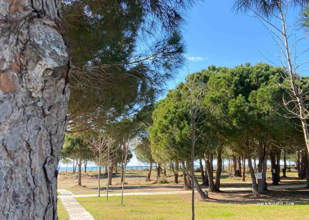 (07600) Manavgat/Antalya - MERKEZ SK — foto 3